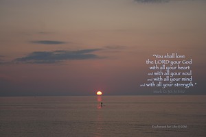 Mark 12:30-31