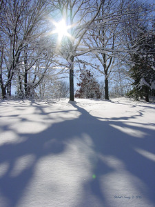 Morning light