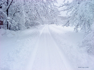 Winterland