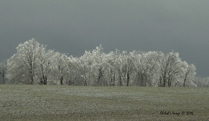 Icy winter scape