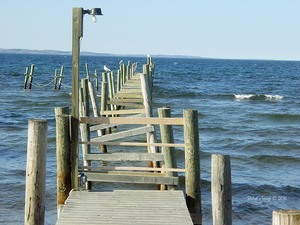 Dock on the Bay