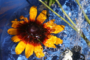 Abstract flower