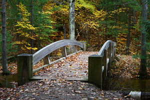 River Bridge