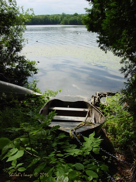 Boat 6 13 2010  Digital Download