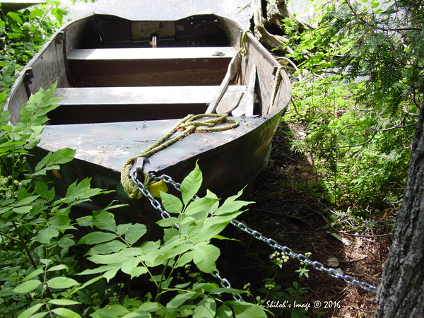 Row boat Téléchargement Numérique