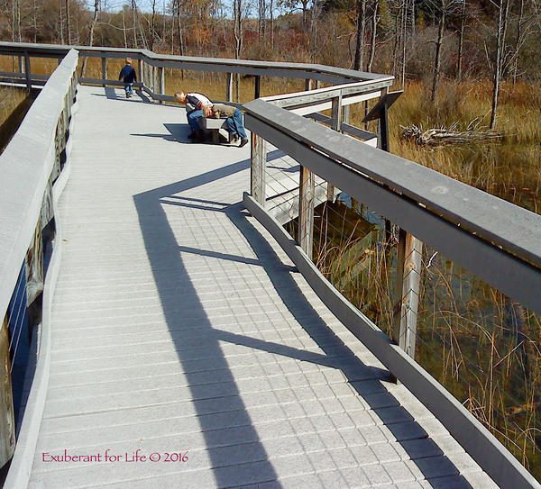 Nature walk Digital Download