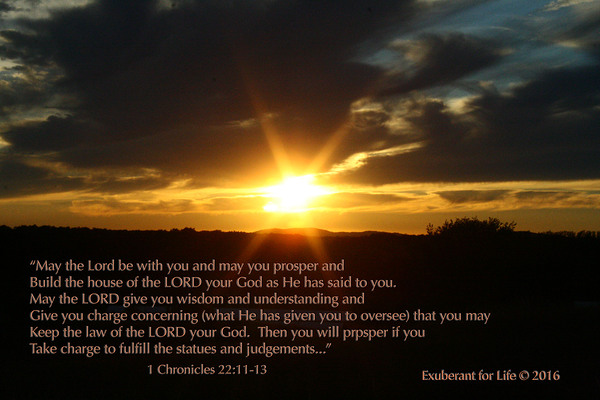 EFL 1 Chron 22 Digital Download
