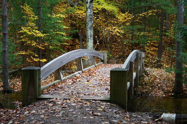 River Bridge Digital Download