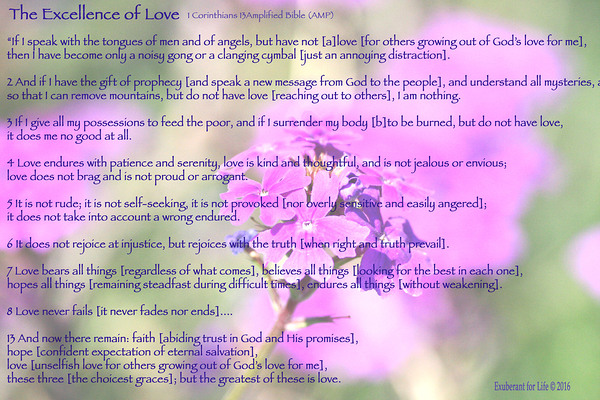 1 Corinthians 13 Digital Download