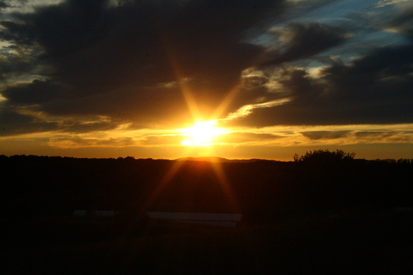 Sunset Téléchargement Numérique