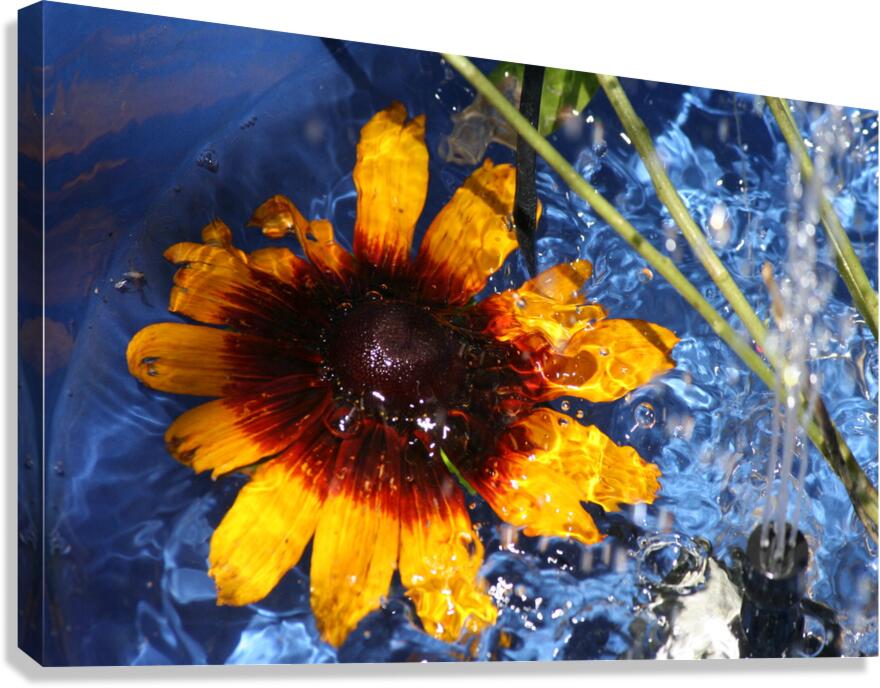 Abstract flower Canvas Print