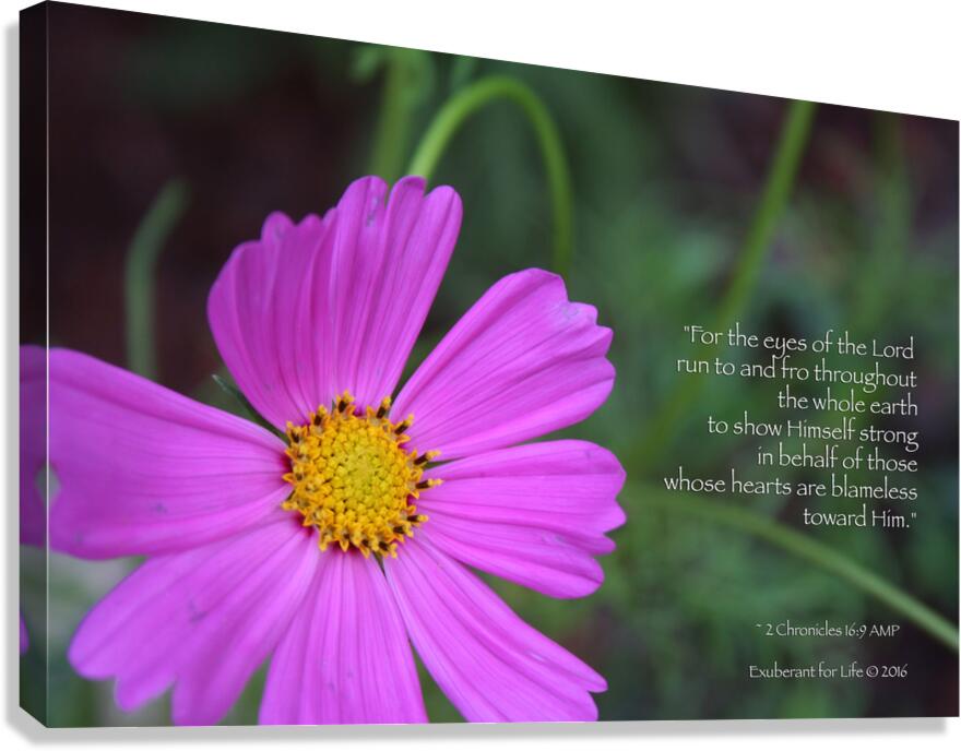 2 Chronicles 16:9  Canvas Print