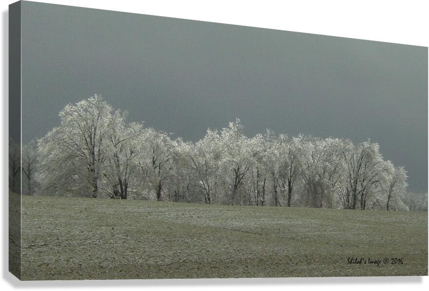 Icy winter scape Canvas Print