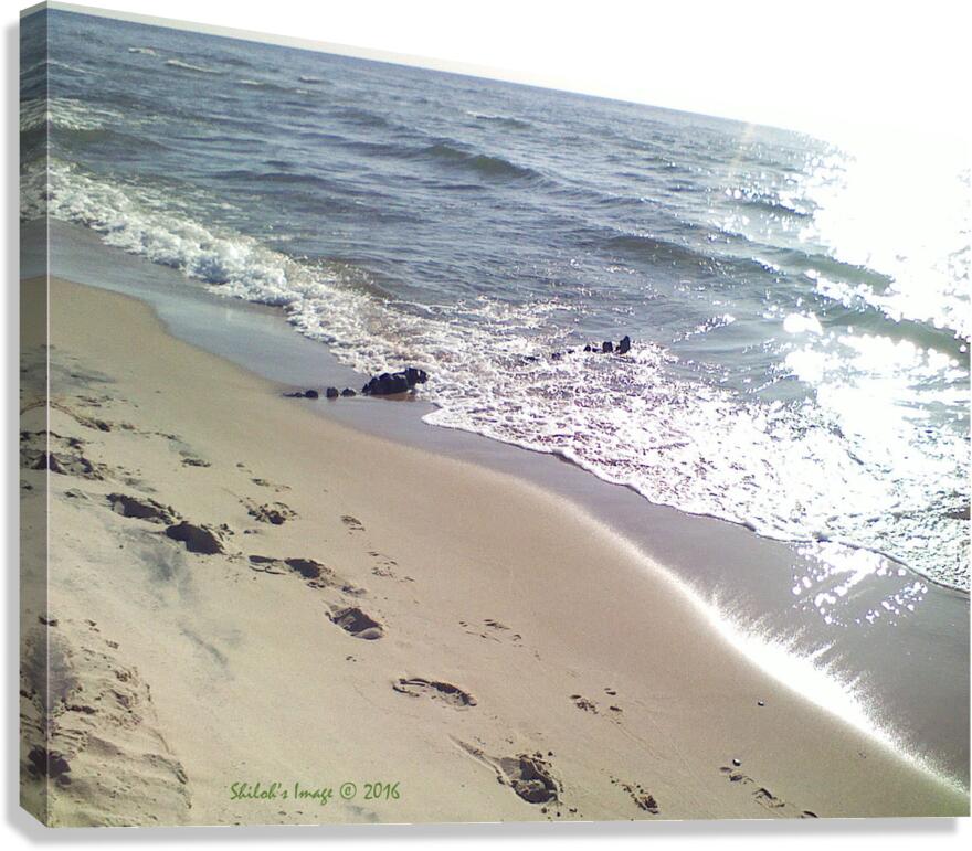 Beach walk Canvas Print