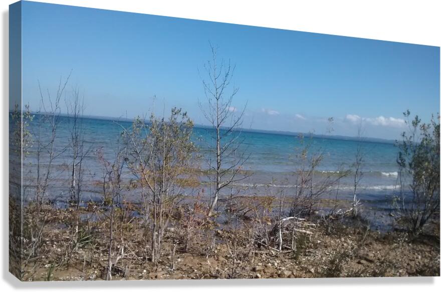 Lake view Canvas Print
