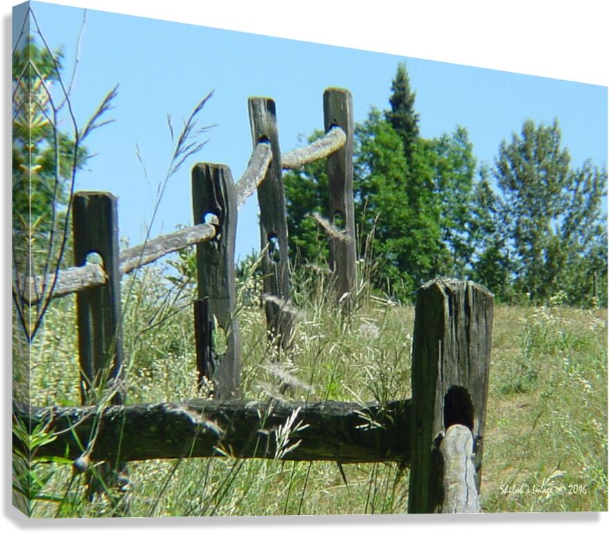 Fence row Canvas Print