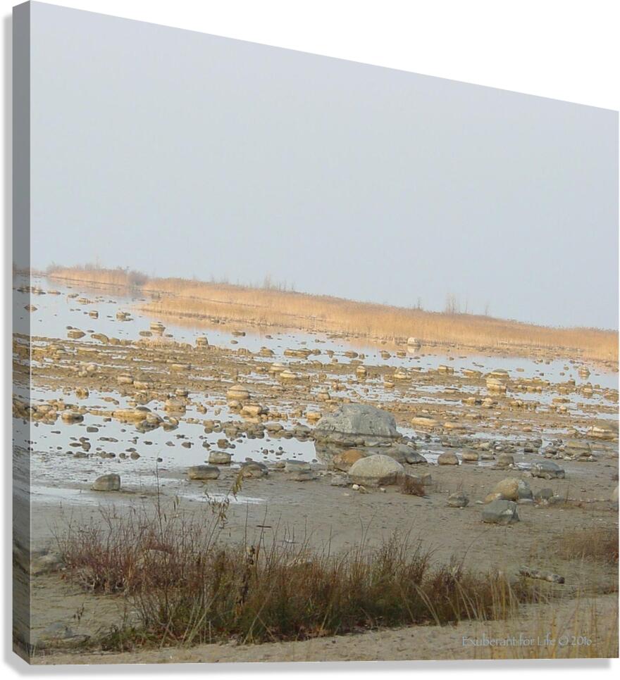 Rockscape Canvas Print