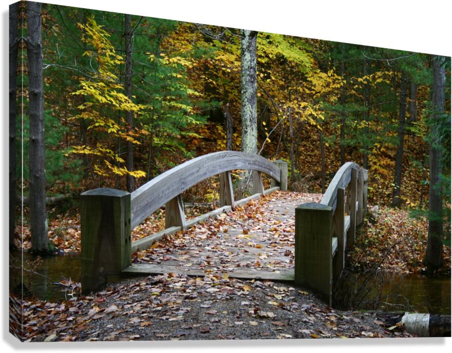 River Bridge Canvas Print