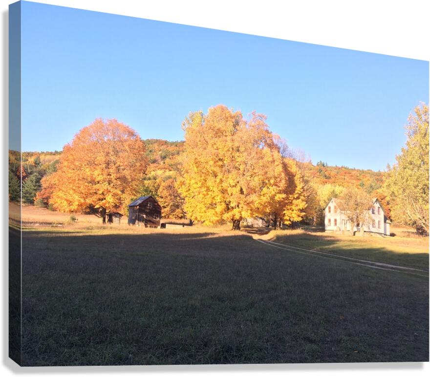 Homestead Canvas Print