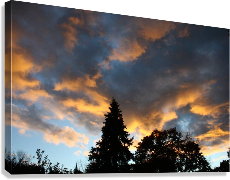Orange Clouds Canvas Print