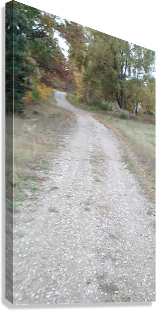 Stone Path Canvas Print