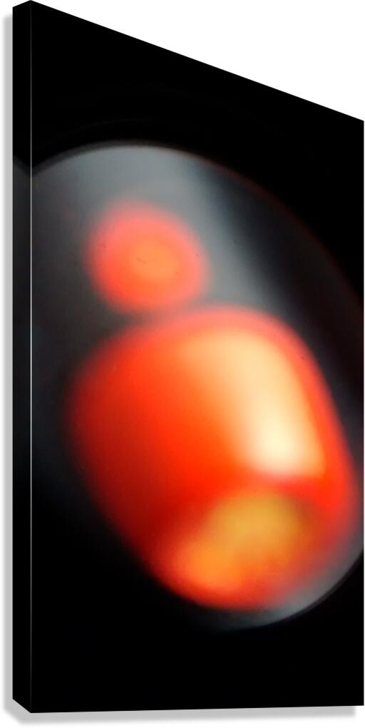Abstract Red Canvas Print