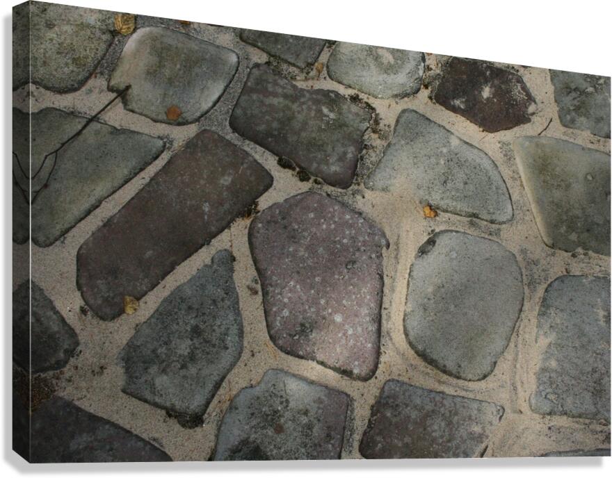 Stone Paths Canvas Print