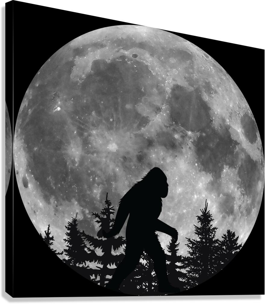 retro Circle 7 Canvas Print