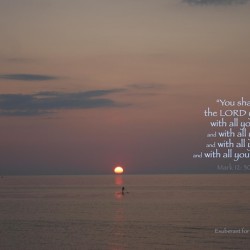 Mark 12:30-31