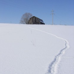 Winter Barn 2 23 2009 
