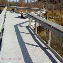 Nature walk