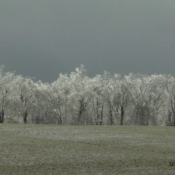 Icy winter scape
