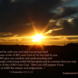 EFL 1 Chron 22