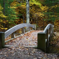 River Bridge