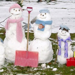 Snow Family