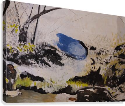 THE WISH POND  Canvas Print