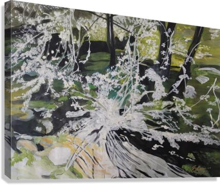 RIVER THROUGH THE MEADOWS  Canvas Print