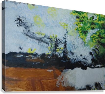 THE COLORED CREEK  Canvas Print
