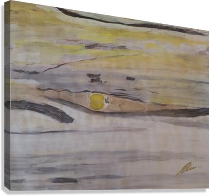 LADY BUG Canvas Print