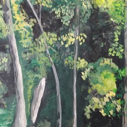AFRICAN FOREST