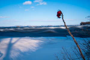 Freezing great waves with berries