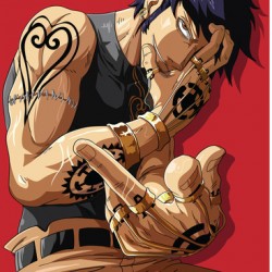 Trafalgar D Law