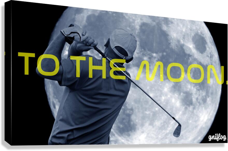 moon Canvas Print