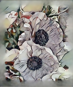 imageedit 4 2168497568