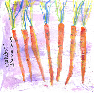 Carrots