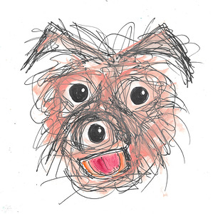 Scruffy Dog