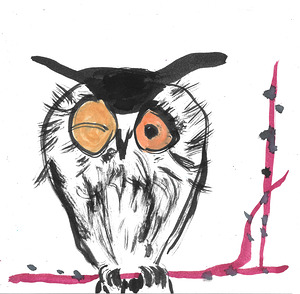 Inky Owl