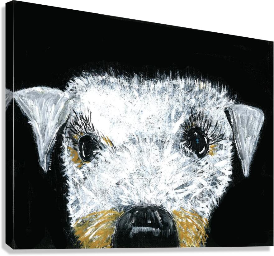 Schnauzer portrait Canvas Print