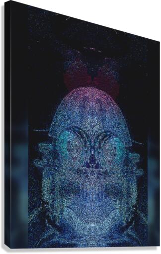 The Vistor Canvas Print