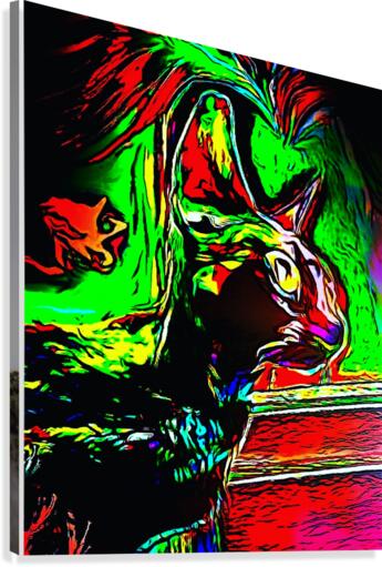 Wraith Canvas Print